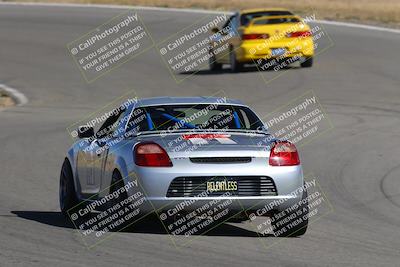 media/Nov-03-2023-Club Racer Events (Fri) [[fd9eff64e3]]/Yellow/Back Shots/